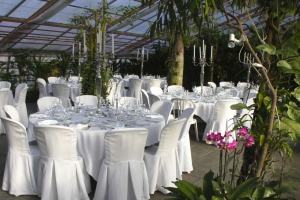 Tropical Dinner / Heid Gärtnerei / Baselland